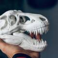 The Magic of 3D Printed Toys: Why They’re Awesome
